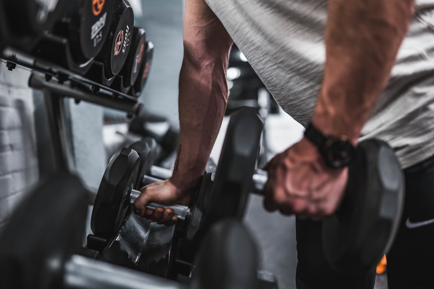Cona za moč — Zenith Fitness